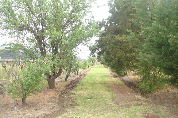 Foto finca